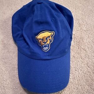 Blue Panther Embroidered Cap
